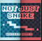 Not Just Snake