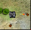 Furious Tank